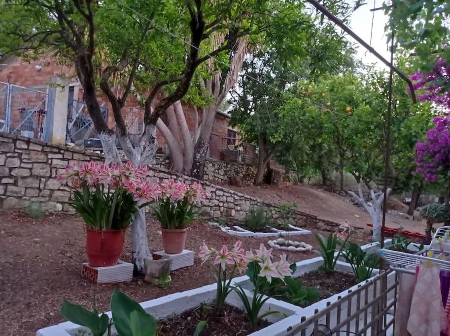 Villa Lidi Stavros  エクステリア 写真