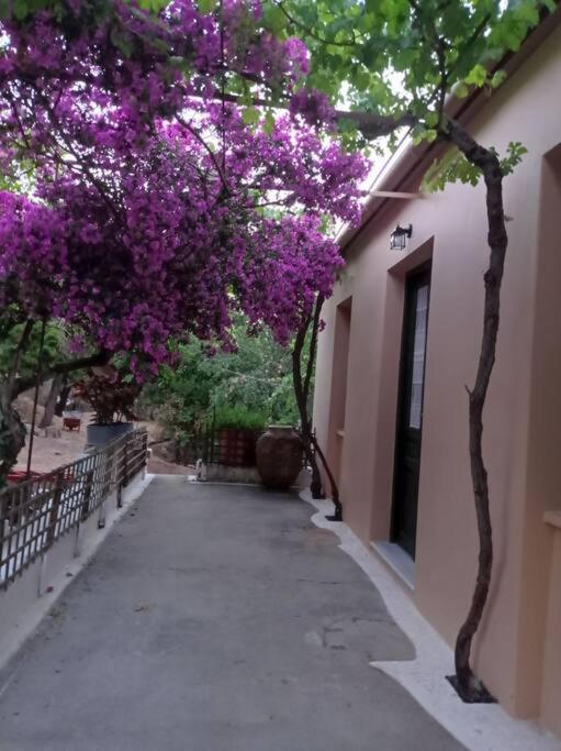 Villa Lidi Stavros  エクステリア 写真