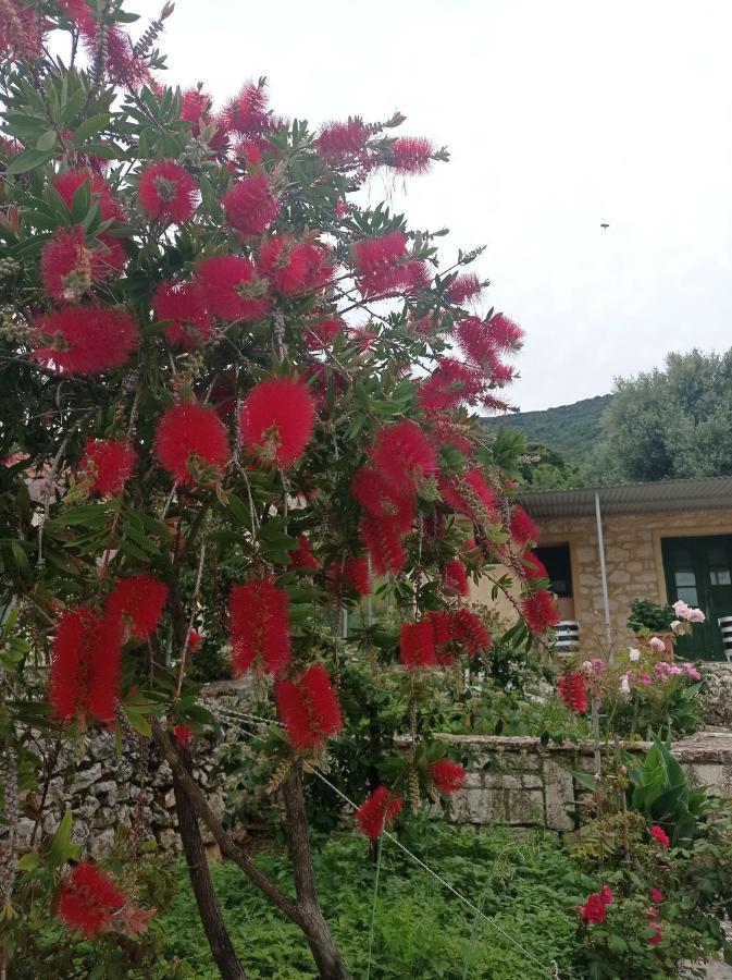 Villa Lidi Stavros  エクステリア 写真