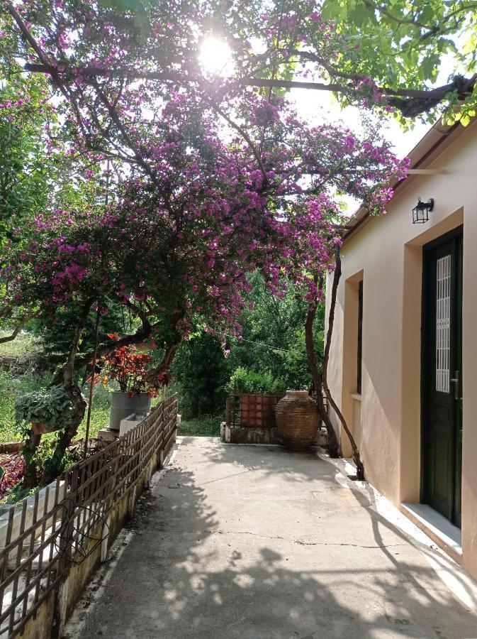 Villa Lidi Stavros  エクステリア 写真