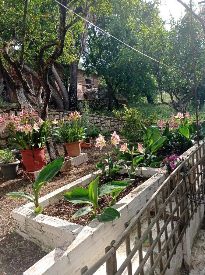 Villa Lidi Stavros  エクステリア 写真